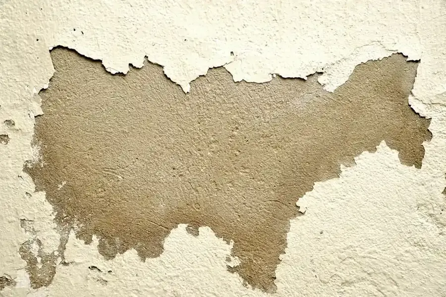 Mold growth and peeling paint from water damage requiring remediation in Fairfax VA